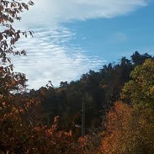 Is there more you would like to know? Music Tera Mangala Meditation Music