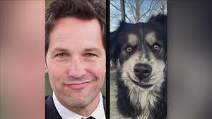 New to international fame, Collierville's 'Pawl Ruff' has a new home, and a  new name