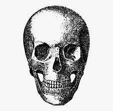 Check spelling or type a new query. Bone Game Asset Call Skeleton Skull Skull Free Transparent Png Download Pngkey