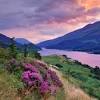 The highlands really is the scotland of your imagination. Https Encrypted Tbn0 Gstatic Com Images Q Tbn And9gcsy Wbnovwpmnsc4vdbmtndl0reatusxsgx9vev1cco 4hlsxr Usqp Cau