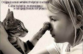 Cat and dog friendship quotes dogs believe every stranger is a friend they haven't met yet. True Friendship Quotes Cats Quotesgram