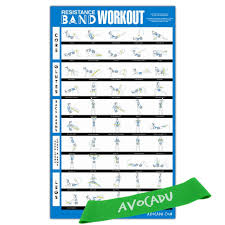 Avocadu Resistance Band Workout Poster With Loop Resistance Band Included Premium 16 X 24 Poster With Illustrated Workout Moves For Easy Home