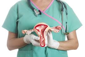 Inilah penampakan sel telur dalam rahim sang ibu, berbentuk seperti lingkaran sinar yang mengelilingi matahari. Elak Berlakunya Ketumbuhan Fibroid Cyst Dalam Rahim Ikut Langkah Ini Paling Penting Jaga Makan Keluarga