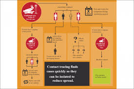 Further, some people can test positive, then negative, then positive again. Contact Tracing How Does Infection Chain Tracing Work In Austria Vindobona Org Vienna International News