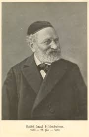 Image result for Salsola rabieana