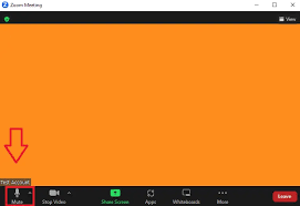 Turn Sound To Zero - Zoom Community