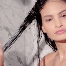 Barbara Oblinger's Instagram, Twitter & Facebook