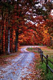 I Shall Be Telling This With A Sigh Somewhere Ages And Ages Hence Two Roads Diverged In A Wood And I I Took The One L Fall Pictures Beautiful Fall Nature