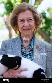 Two panda hi-res stock photography and images