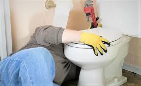 Quelles sont les causes de la fuite dans les toilettes !