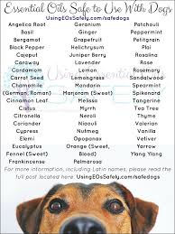 Is It Safe To Use Essential Oils With Dogs Sit Stay Forever