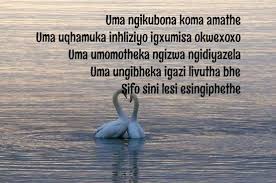 Pin By Zulu Poetry On Uthando Zulu Love Quotes Good Morning Nature Love Quotes Love Letters