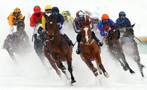 We have a massive amount of hd images that will make your computer or smartphone look absolutely fresh. Horse Racing Race Equestrian Sport Jockey Horses Wallpapers Hd Desktop And Mobile Backgrounds