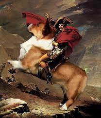 Napoleon Riding A Corgi Corgi Art Corgi Drawing Cute Corgi