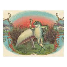 Toad And Mushroom Postcard Zazzle Com In 2020 Frog Art Frog Illustration Vintage Mushroom Art