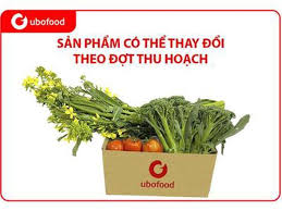 Ubofood | 1,5Kg Rau Hữu Cơ Bất Ngờ