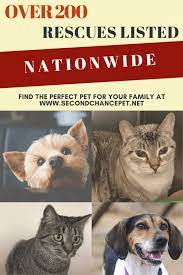Animal Rescue Organizations By State And County In 2020 Animal Shelter Animal Shelters Near Me Animal Rescue