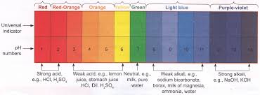 What Is The Definition Of Indicator In Chemistry A Plus Topper