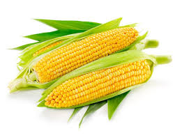 They may be a pain to remove when husking corn on the cob, but they're a big help when it comes to knowing when to harvest baby corn. Corn An Ear Of Corn Isolated On A White Background Spon Corn Ear Corn Background White Ad Corn Stock Image Corn Ears Of Corn