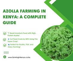 Image result for Azolla