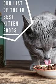 11 best kitten foods with our most affordable pick 2021 guide katzen futter katzen katzen geburtstag
