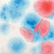 We did not find results for: Mayco Crystalite Crystal Glaze Kaboom 4oz