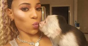 Texas Coach Jeff Banks' Girlfriend's Monkey Allegedly Bit Trick-Or-Treater