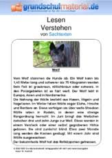 Dabei teilt es die verschiedenen absätze in sinninhalte ein. Sachtexte Tiere Sachtexte Lesen Deutsch Klasse 3 Grundschulmaterial De