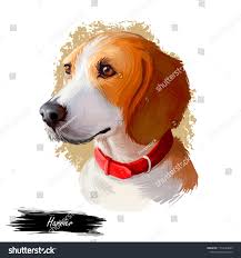 Harrier Dog Digital Art Illustration Isolated On White Background Uniteed Kingdom Origin Scenthound Fo Digital Art Illustration Illustration Art Illustration