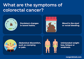 Image result for Colorectal Cancer