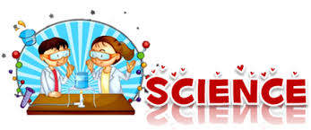Maybe you would like to learn more about one of these? Science à¹‚à¸£à¸‡à¹€à¸£ à¸¢à¸™à¸š à¸²à¸™à¹‚à¸„à¸à¸¥ à¸²à¸¡