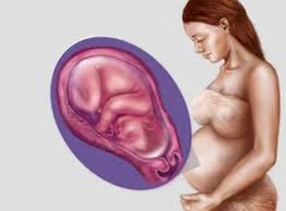 In saptamana 38 de sarcina, esti destul de agitata intrucat nu cunosti cu exactitate momentul nasterii bebelusului, desi stii ca te afli undeva destul de aproape. Saptamana 38 De Sarcina Copilul Ro