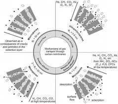 Лучшие дорамы » биографии » ван хао сюань / wang hao xuan. A Review Of The Application Of Carbon Based Membranes To Hydrogen Separation Springerlink