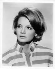 Angie Dickinson in bikini sits in swimming pool The Outside Man 1972 8x10  photo