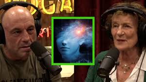 Joe Rogan Experience #2002