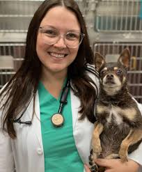 Sun City Center, FL 33573 Veterinarians