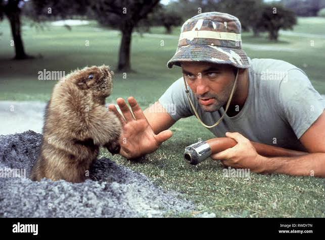 MURRAY,GOPHER, CADDYSHACK, 1980 Stock Photo - Alamy