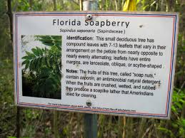 Uf Natl Nature Trails Florida Hikes