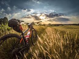 En effet, pour offrir une rigidité équivalente aux roues vtt 26 pouces, les roues 29er affichent une construction plus lourde n'hésitez pas à choisir une taille en dessous de celle vous choisiriez normalement pour un 26 pouces. Comment Choisir Son Vtt Quel Velo