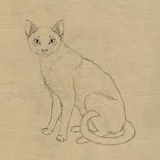 How To Draw Animals Cats And Their Anatomy Envato Tuts Design Illustration Article Animal Drawings Simple Cat Drawing Cat Drawing