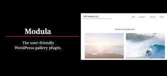 Photo gallery websites should always look unique and professional so that clients enjoy visiting them. Modula Free And Best Gallery Plugin For Wordpress Website Wpentire