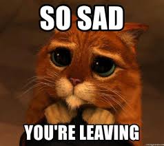 How to get a free domain name. Sad Goodbye Memes