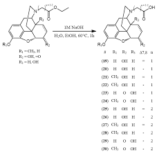 Here are some from nearby areas. Molecules Free Full Text Synthesis Of Potential Haptens With Morphine Skeleton And Determination Of Protonation Constants Html