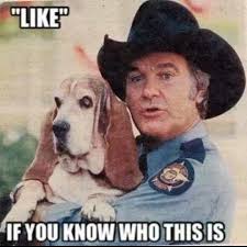 Roscoe P Coletrain And Flash The Dukes Of Hazzard Dukes Of Hazard Roscoe