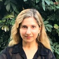 100+ "Schechter" profiles