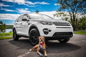 Top 100 boy dog names these are the most popular male dog names of 2019 in rover's database. Puppy Names For Boys 1 000 Fantastic Name Ideas Vip Puppies