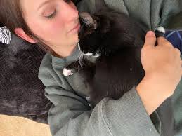 'Hands-off' cat learns to show his sweet side