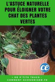 Epingle Sur Bricolage