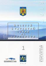 Buletin Statistic Lunar Al Judeţelor Nr 1 2019 Institutul Național De Statistică