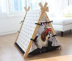 Pin Em Teepee Tent